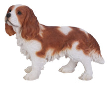 Load image into Gallery viewer, Brown/White King Charles Spaniel Standing Statue
