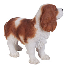 Load image into Gallery viewer, Brown/White King Charles Spaniel Standing Statue
