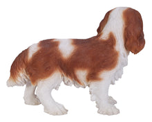 Load image into Gallery viewer, Brown/White King Charles Spaniel Standing Statue

