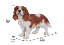 Load image into Gallery viewer, Brown/White King Charles Spaniel Standing Statue
