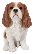 Load image into Gallery viewer, Brown/White King Charles Spaniel Sitting Statue
