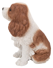 Load image into Gallery viewer, Brown/White King Charles Spaniel Sitting Statue
