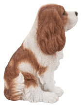 Load image into Gallery viewer, Brown/White King Charles Spaniel Sitting Statue
