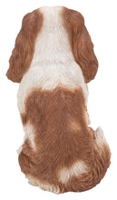 Load image into Gallery viewer, Brown/White King Charles Spaniel Sitting Statue
