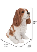 Load image into Gallery viewer, Brown/White King Charles Spaniel Sitting Statue
