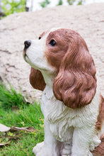 Load image into Gallery viewer, Brown/White King Charles Spaniel Sitting Statue
