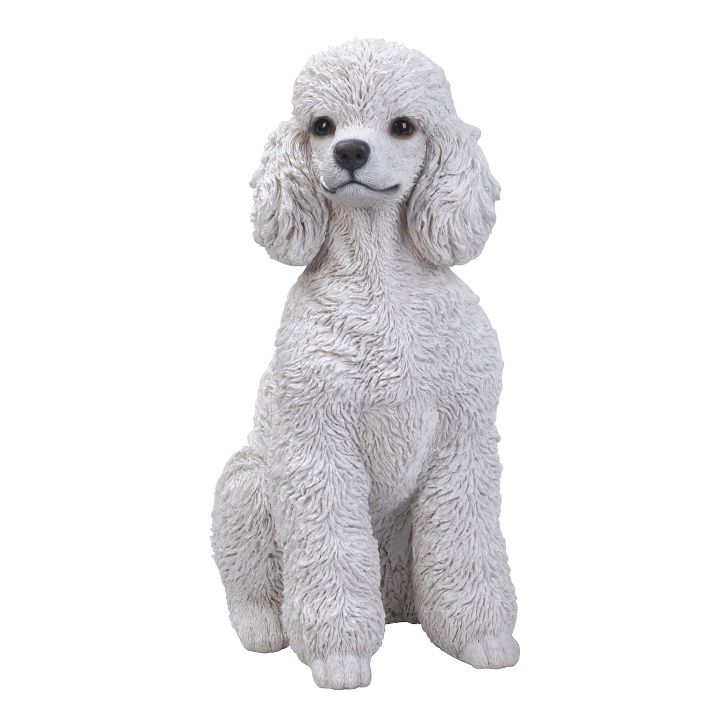 White Poodle Sitting
