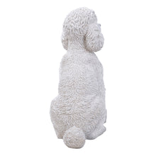 Load image into Gallery viewer, White Poodle Sitting
