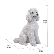 Load image into Gallery viewer, White Poodle Sitting
