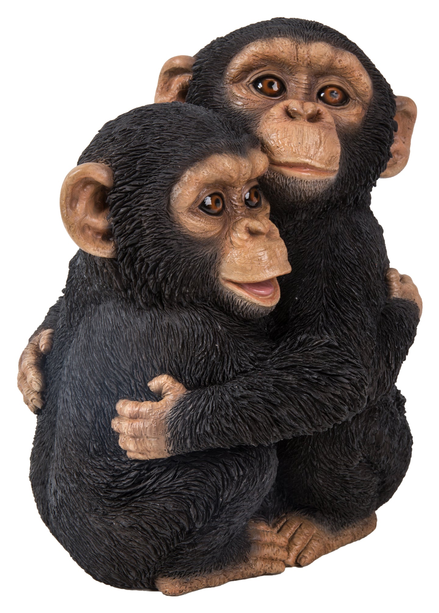 Chimpanzees Hugging