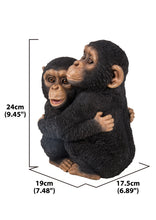 Load image into Gallery viewer, Chimpanzees Hugging
