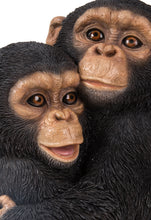 Load image into Gallery viewer, Chimpanzees Hugging
