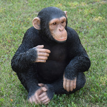 Load image into Gallery viewer, Monkey Sitting
