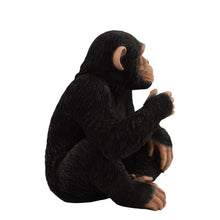Load image into Gallery viewer, Monkey Sitting
