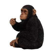 Load image into Gallery viewer, Monkey Sitting

