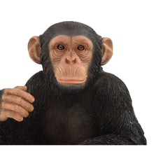 Load image into Gallery viewer, Monkey Sitting
