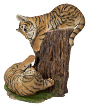 Load image into Gallery viewer, Playful Tiger Cubs
