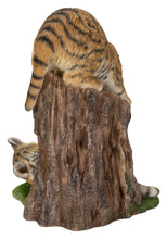 Load image into Gallery viewer, Playful Tiger Cubs
