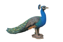 Load image into Gallery viewer, Small Peacock
