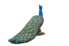 Load image into Gallery viewer, Peacock
