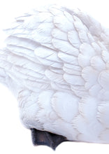 Load image into Gallery viewer, Swan Statue
