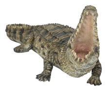 Load image into Gallery viewer, Crocodile with Mouth Open Up
