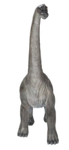 Load image into Gallery viewer, Dinosaur-Brachiosaurus
