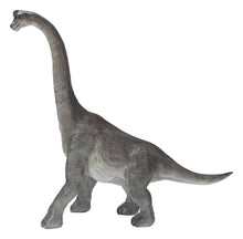 Load image into Gallery viewer, Dinosaur-Brachiosaurus
