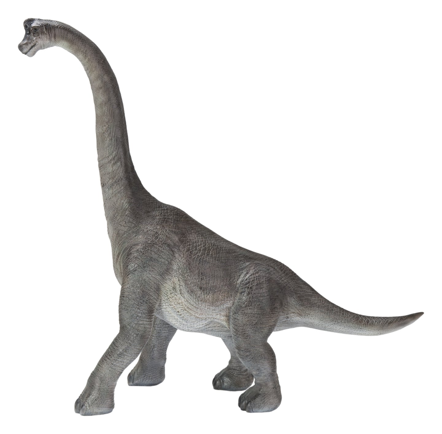 Dinosaur-Brachiosaurus