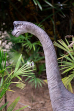Load image into Gallery viewer, Dinosaur-Brachiosaurus
