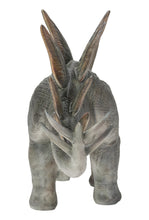 Load image into Gallery viewer, Dinosaur-Stegosaurus

