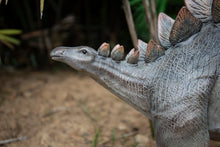 Load image into Gallery viewer, Dinosaur-Stegosaurus
