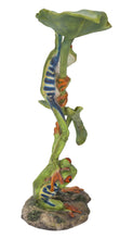 Load image into Gallery viewer, Lotus Leaf with Red-Eyed Tree Frog

