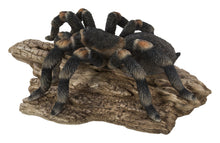 Load image into Gallery viewer, Tarantula
