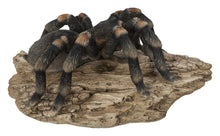 Load image into Gallery viewer, Tarantula

