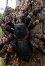 Load image into Gallery viewer, Tarantula
