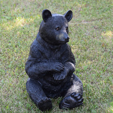 Load image into Gallery viewer, Black Bear Sitting

