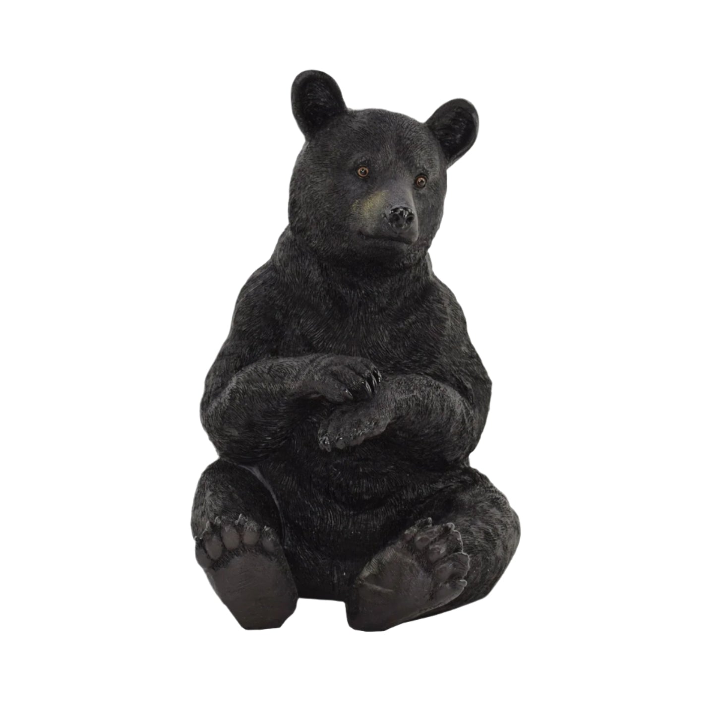 Black Bear Sitting