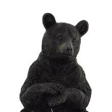 Load image into Gallery viewer, Black Bear Sitting
