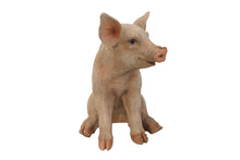 Load image into Gallery viewer, Large Sitting Pig
