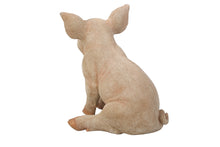Load image into Gallery viewer, Medium Sitting Pig Statue
