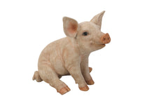 Load image into Gallery viewer, Medium Sitting Pig Statue
