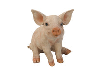 Load image into Gallery viewer, Medium Sitting Pig Statue
