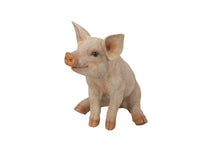 Load image into Gallery viewer, Medium Sitting Pig Statue
