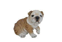 Load image into Gallery viewer, Bulldog Puppy
