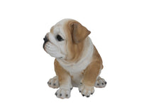 Load image into Gallery viewer, Bulldog Puppy
