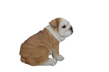 Load image into Gallery viewer, Bulldog Puppy
