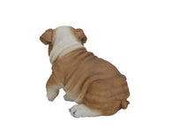 Load image into Gallery viewer, Bulldog Puppy
