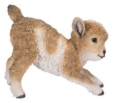 Load image into Gallery viewer, Small Brown &amp; White Baby Lamb Playing
