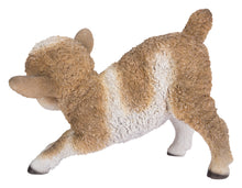 Load image into Gallery viewer, Small Brown &amp; White Baby Lamb Playing
